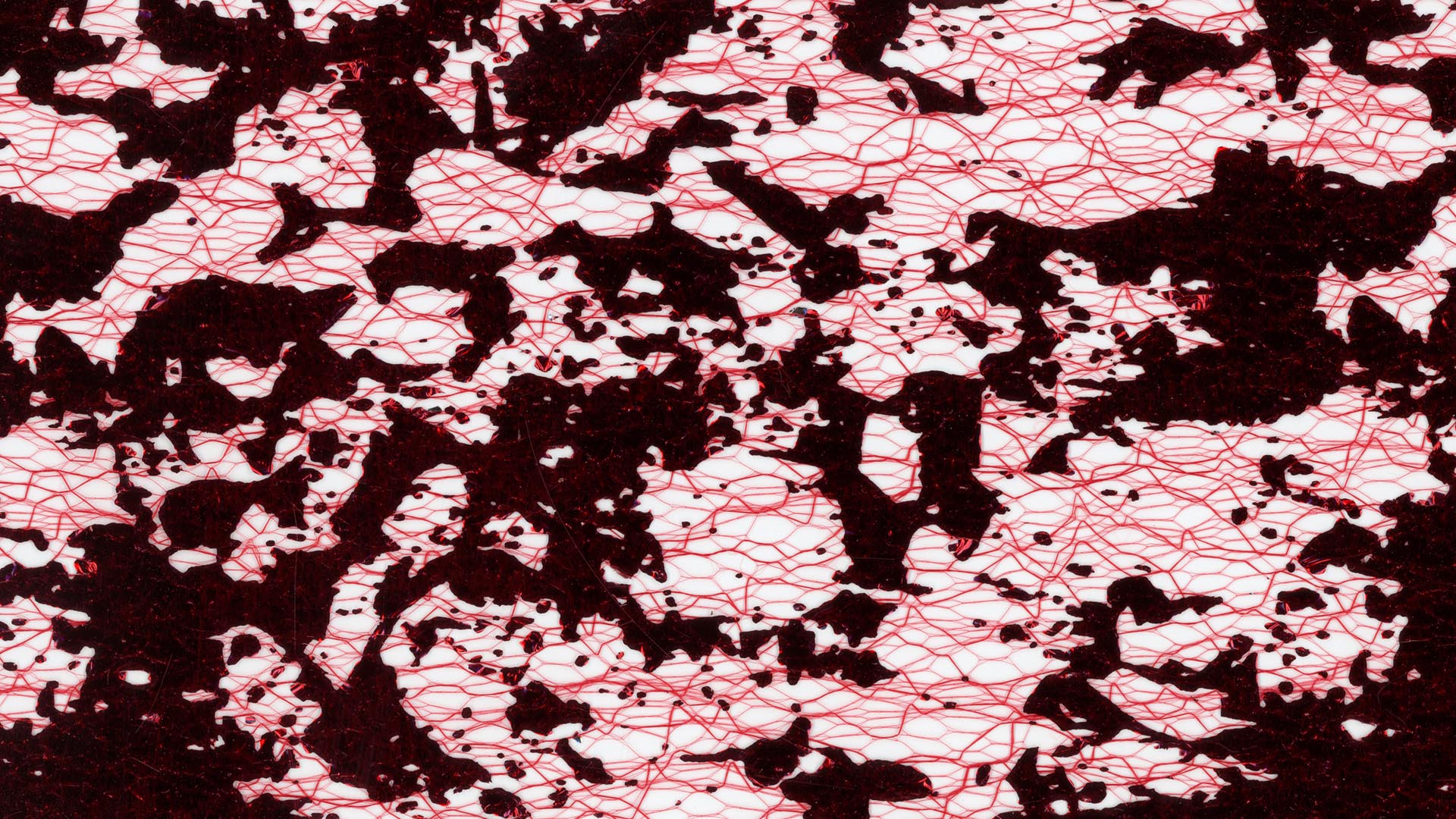 Color Foil Header