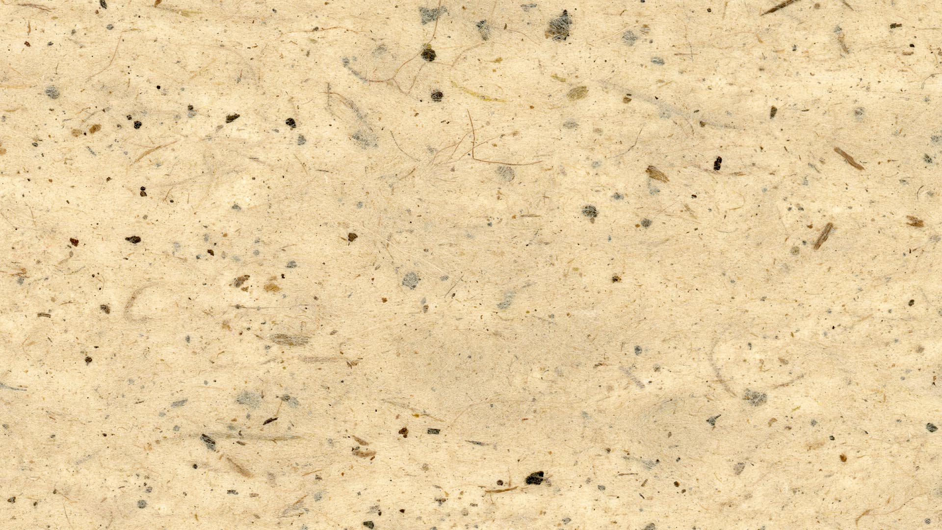 Fancy Paper Header