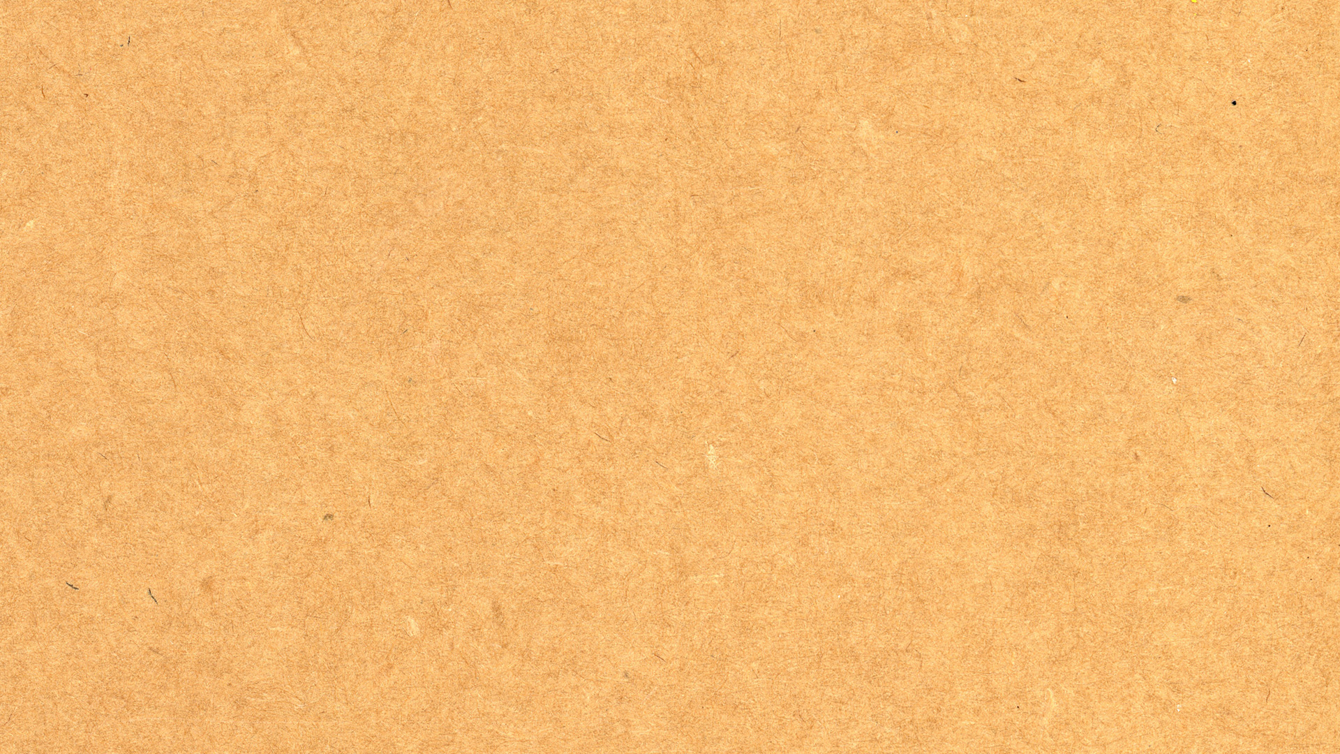 Generic Cardboard Header